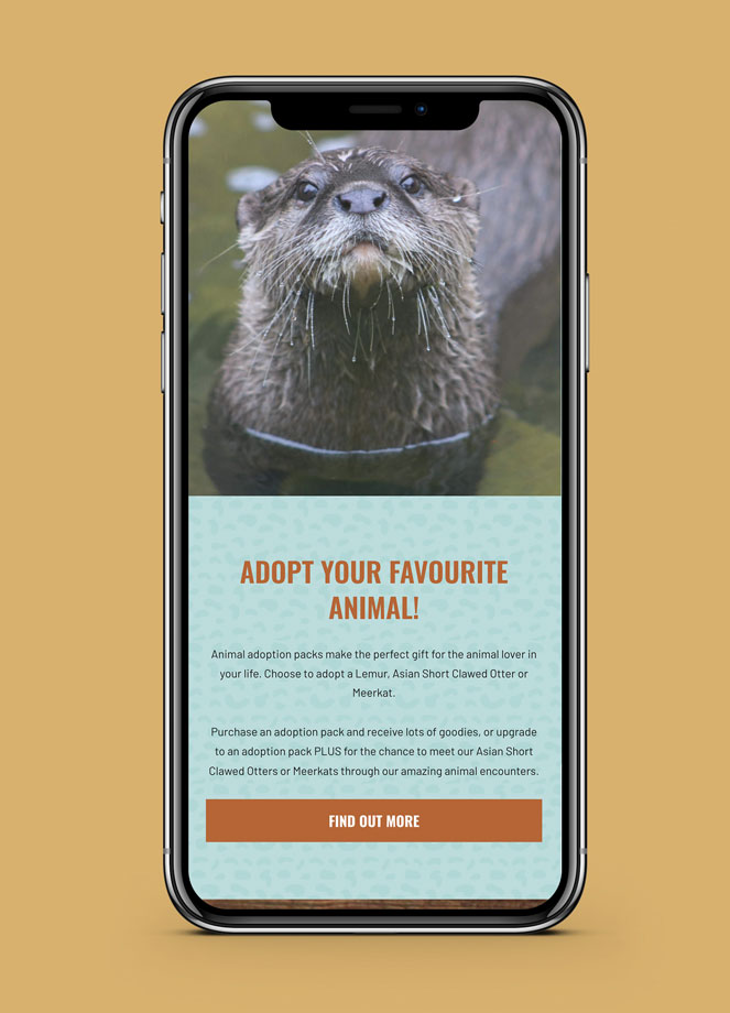 Ponderosa Zoo website mockup on iphone